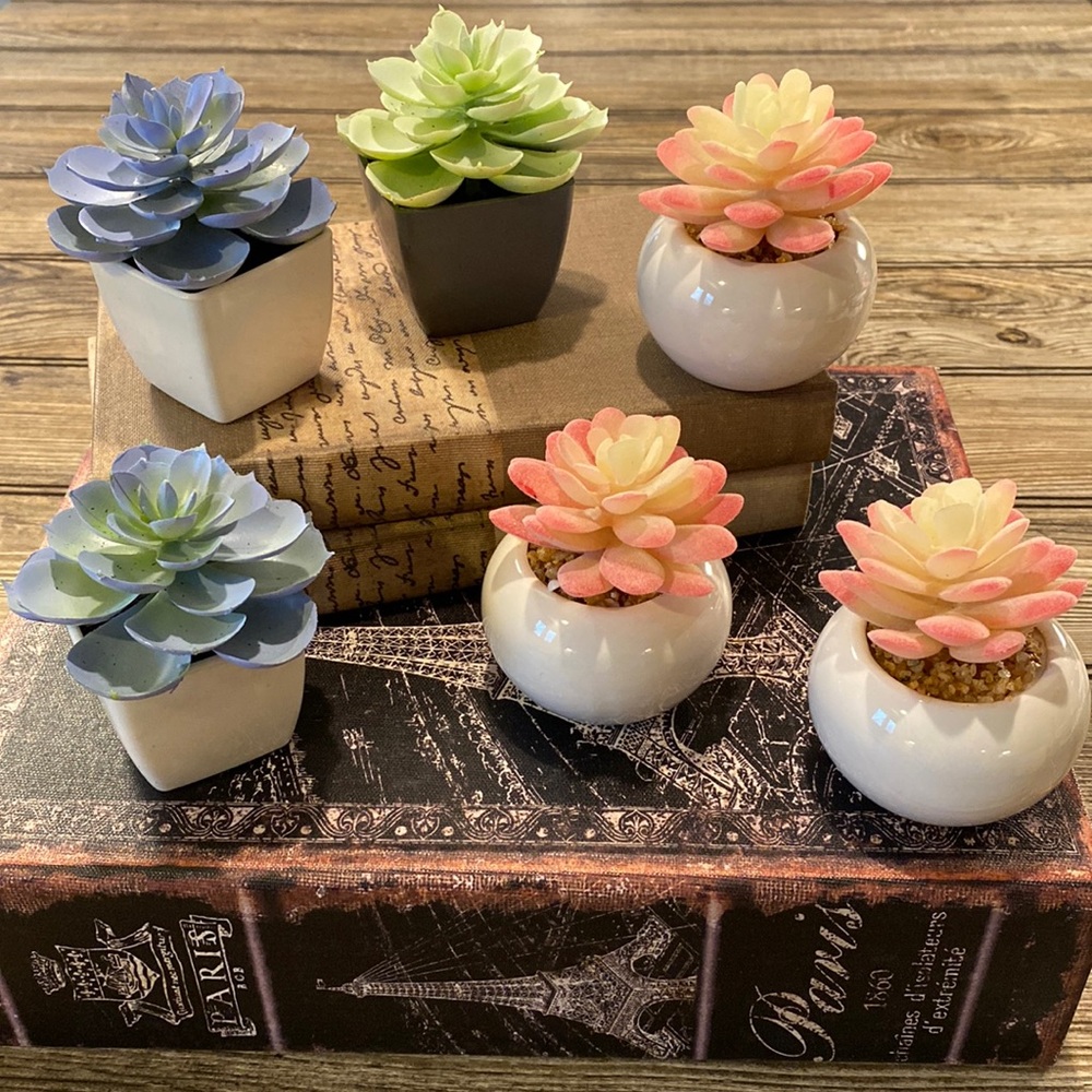NEW LIST!  NEW 6 PCS. FAUX SUCCULENTS. MIX OF CERAMIC AND PLASTIC VASES.
